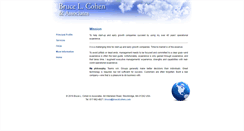 Desktop Screenshot of brucelcohen.com
